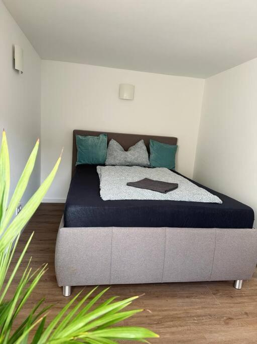 Business Apartment Naehe Bonn Königswinter Esterno foto