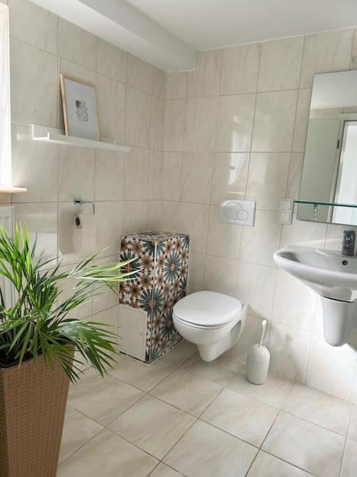 Business Apartment Naehe Bonn Königswinter Esterno foto